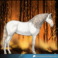 Horse Color:Buckskin Roan Pearl and Buckskin Roan Pearl