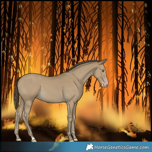 Horse Color:Classic Cream Champagne 