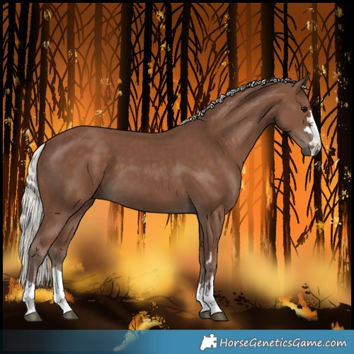 Horse Color:Silver Black 