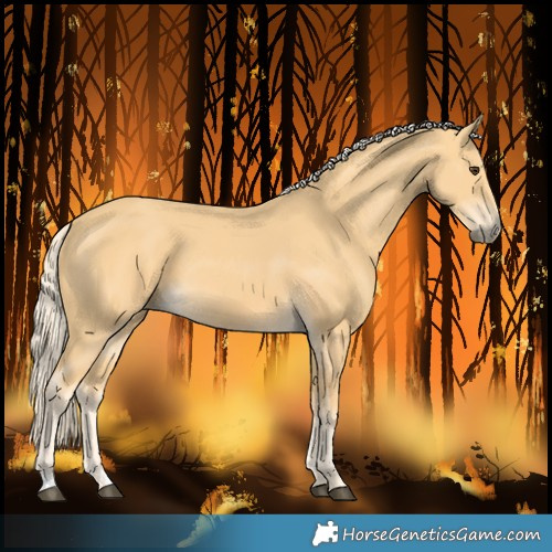 Horse Color:Palomino 