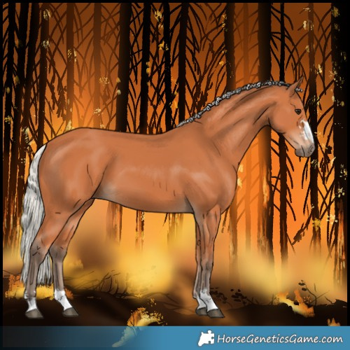 Horse Color:Silver Bay 