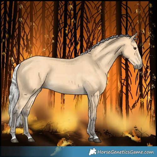 Horse Color:Silver Buckskin 