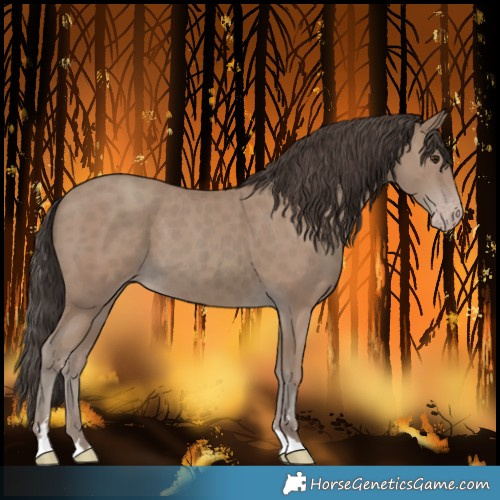 Horse Color:Classic Champagne 