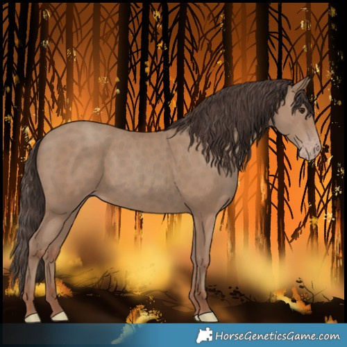 Horse Color:Classic Champagne 