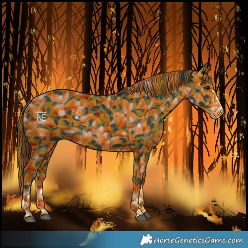 Horse Color:Unknown 