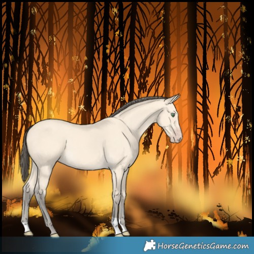 Horse Color:Amber Cream Champagne 