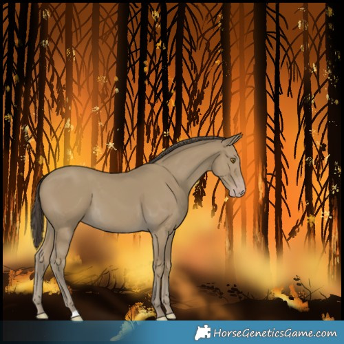 Horse Color:Classic Cream Champagne