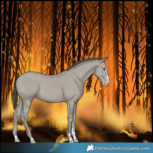 Horse Color:Classic Cream Champagne