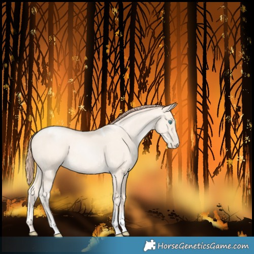 Horse Color:Classic Cream Champagne Pearl Tobiano Rabicano