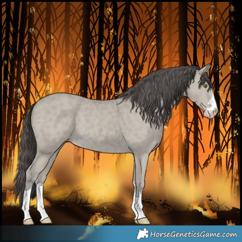Horse Color:Classic Cream Champagne