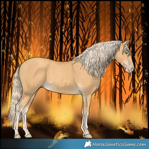 Horse Color:Gold Cream Champagne 