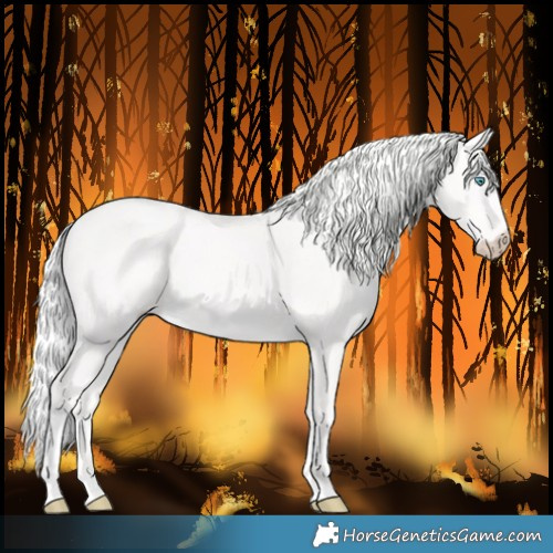 Horse Color:Cremello 