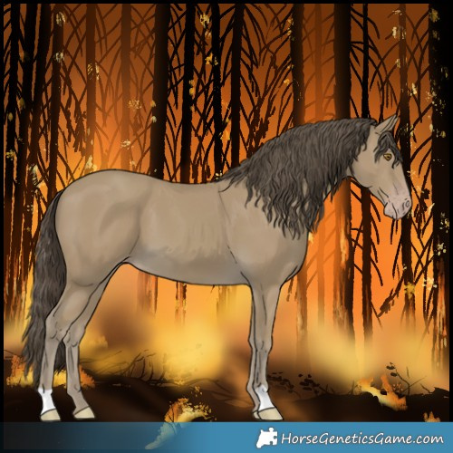 Horse Color:Classic Cream Champagne