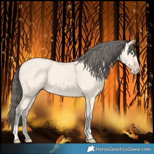 Horse Color:Amber Cream Champagne