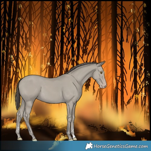 Horse Color:Classic Cream Champagne 