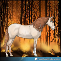Horse Color:Sable Champagne Pearl Dun Sabino Tobiano 