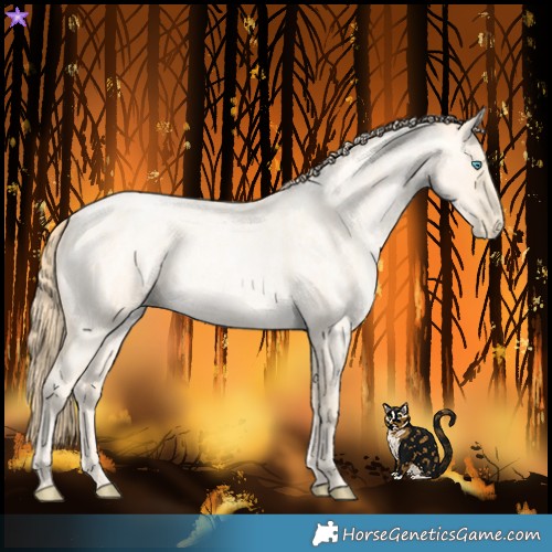 Horse Color:Buckskin Roan Pearl and Buckskin Roan Pearl