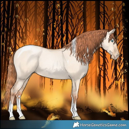 Horse Color:Sable Champagne Pearl Dun Sabino Tobiano