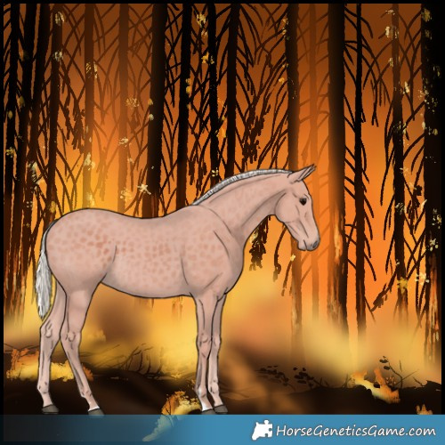 Horse Color:Silver Black 