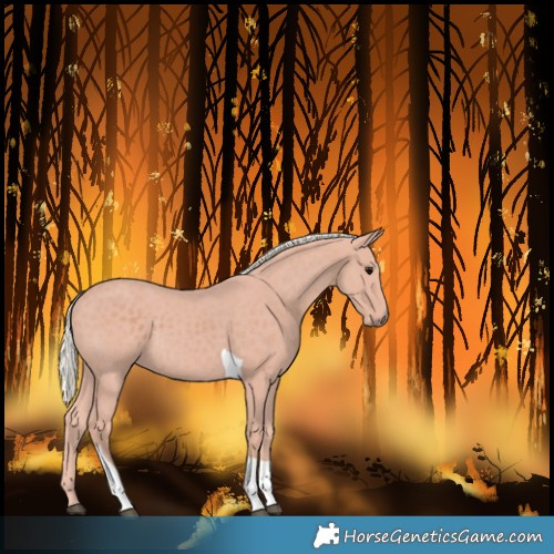Horse Color:Silver Black Tobiano 
