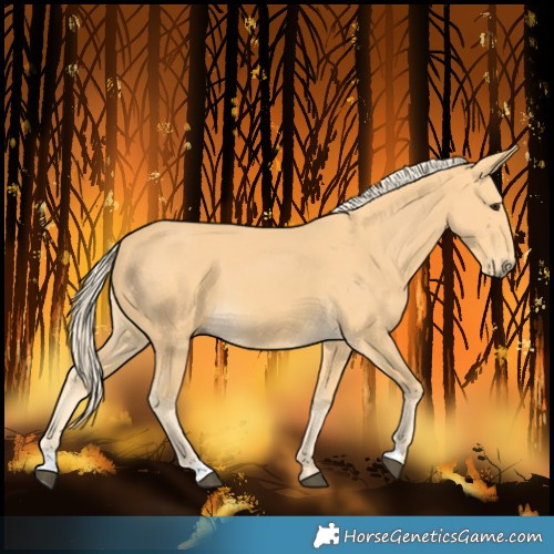 Horse Color:Palomino 