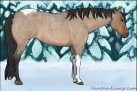 Horse Color:Bay Roan Dun Tobiano Rabicano
