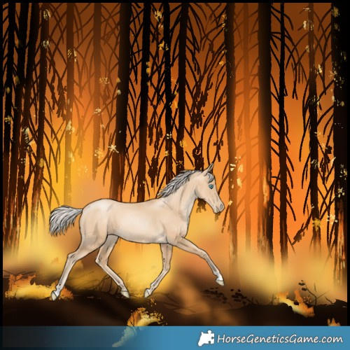 Horse Color:Gold Cream Champagne Pearl 