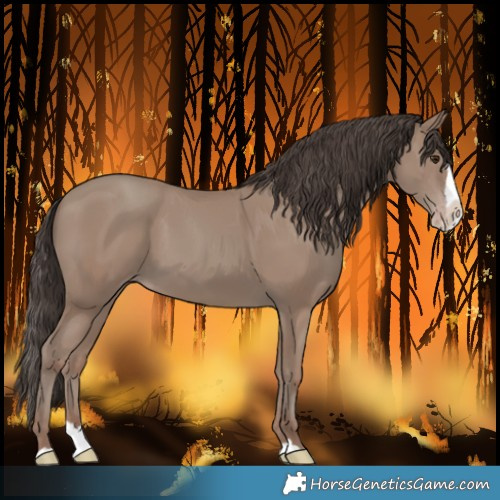 Horse Color:Classic Champagne Splash 