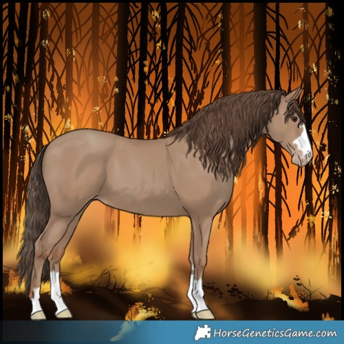 Horse Color:Classic Champagne 