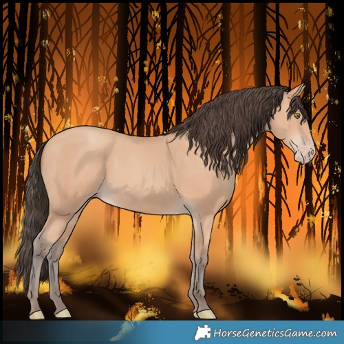 Horse Color:Amber Champagne 
