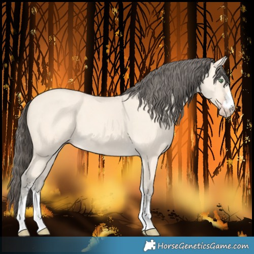 Horse Color:Amber Cream Champagne