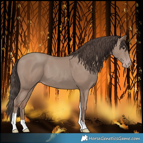 Horse Color:Classic Champagne Tobiano