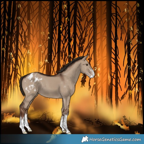 Horse Color:Liver Red Dun Sabino Varnish