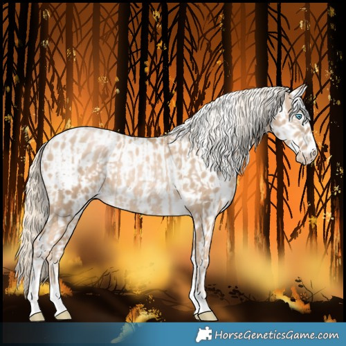 Horse Color:Chocolate Palomino Pearl Tobiano Frame  and Chocolate Palomino Pearl Tobiano Frame Near Leopard 