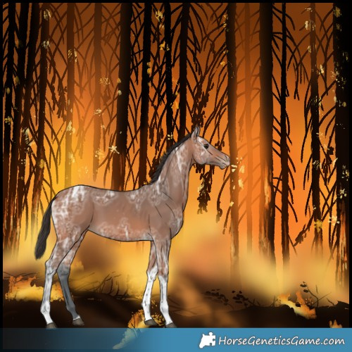 Horse Color:Bay Ice Tobiano Skewed LP Spotted