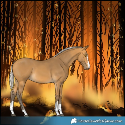 Horse Color:Silver Buckskin