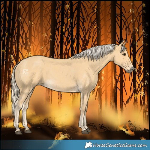 Horse Color:Palomino  and Palomino 