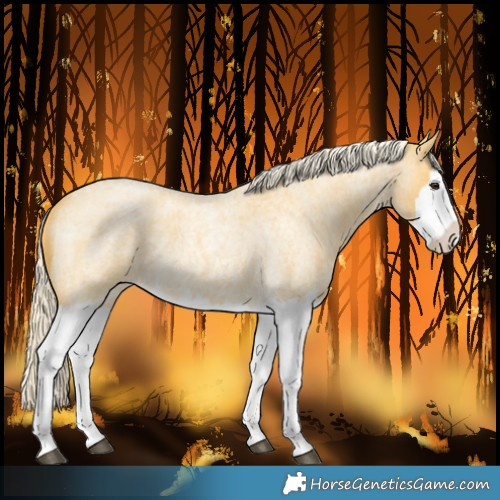 Horse Color:Palomino Roan Splash 