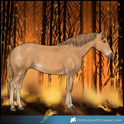Horse Color:Chestnut  and Chestnut 