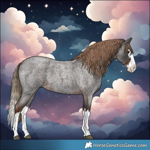 Horse Color:Liver Red Roan Splash 