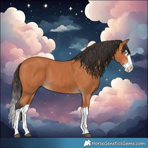 Horse Color:Bay Splash