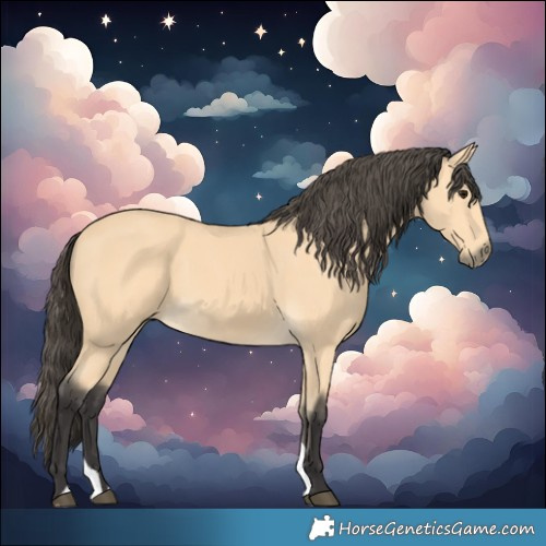 Horse Color:Buckskin 