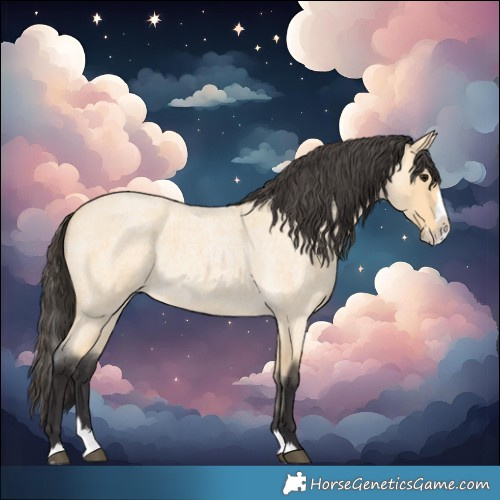 Horse Color:Buckskin Roan Splash 