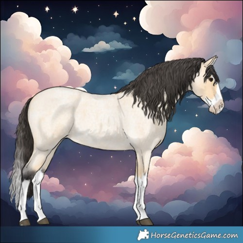 Horse Color:Buckskin Roan Splash 