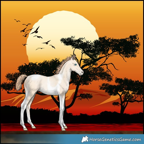 Horse Color:Amber Cream Champagne Pearl Tobiano