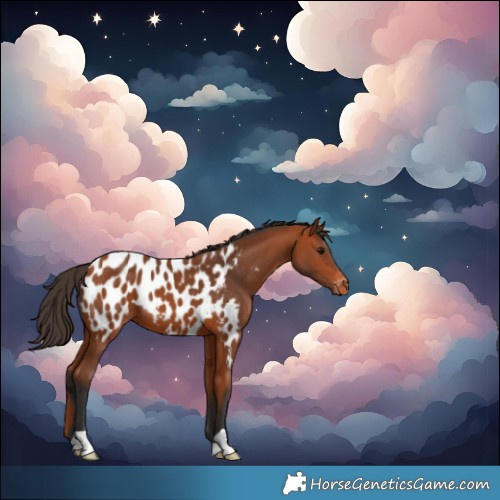 Horse Color:Bay Blanket 