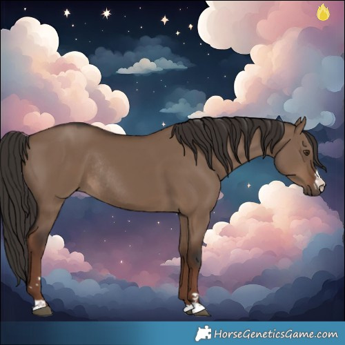 Horse Color:Liver Red Dun Rabicano