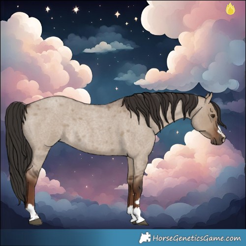Horse Color:Liver Red Dun Roan Rabicano