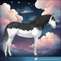 Horse Color:Black Splash Frame 