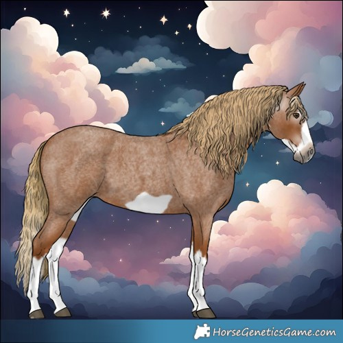 Horse Color:Gray Red Roan Splash Frame